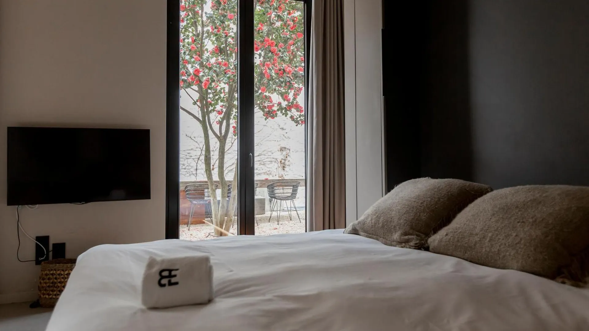 Btfl Living Antwerp Apartment